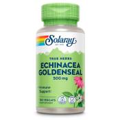 Solaray Echinacea+goldenseal 500mgr 100 Units Vert,Blanc