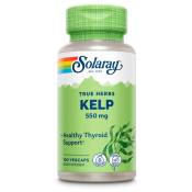 Solaray Kelp 550mgr 100 Units Vert,Blanc